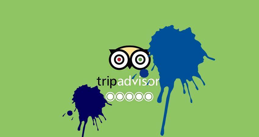 Faux avis TripAdvisor : quels enjeux & risques pour l'hôtellerie-restauration ?