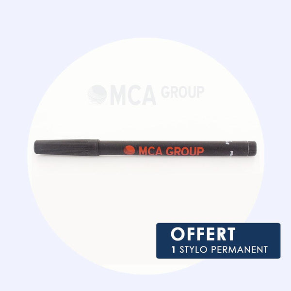 Vidéo Surveillance Vidéo en Zone Privée MCA Group