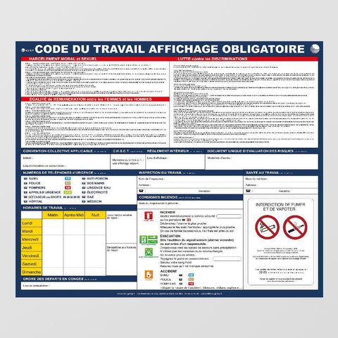 Affichage Code du Travail, Tableau du Personnel, Consignes de Sécurité, Lutte contre les Discriminations, Interdictions… : Affichage Obligatoire Complet (+ 1 stylo permanent offert) MCA Group